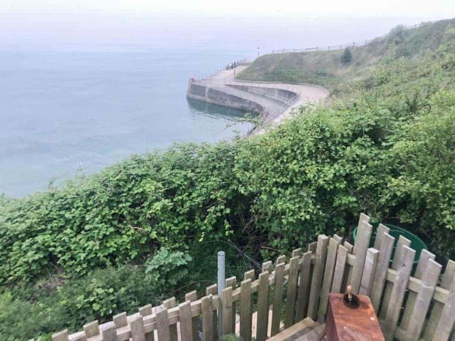Lyme Clifftop Hideaway Lyme Regis Ngoại thất bức ảnh