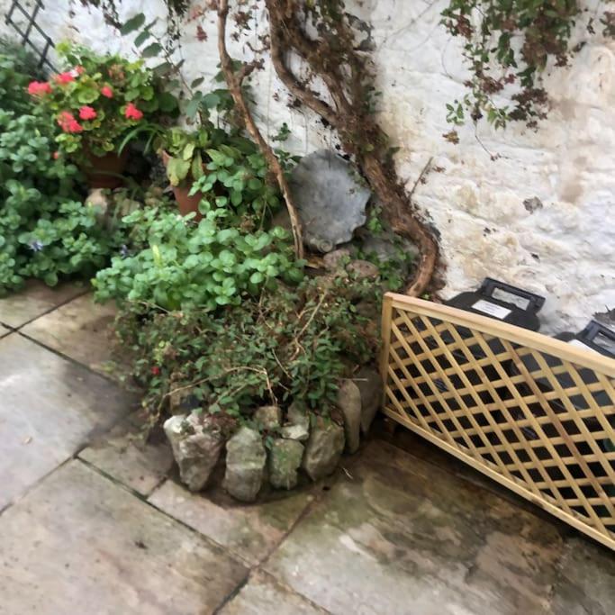 Lyme Clifftop Hideaway Lyme Regis Ngoại thất bức ảnh