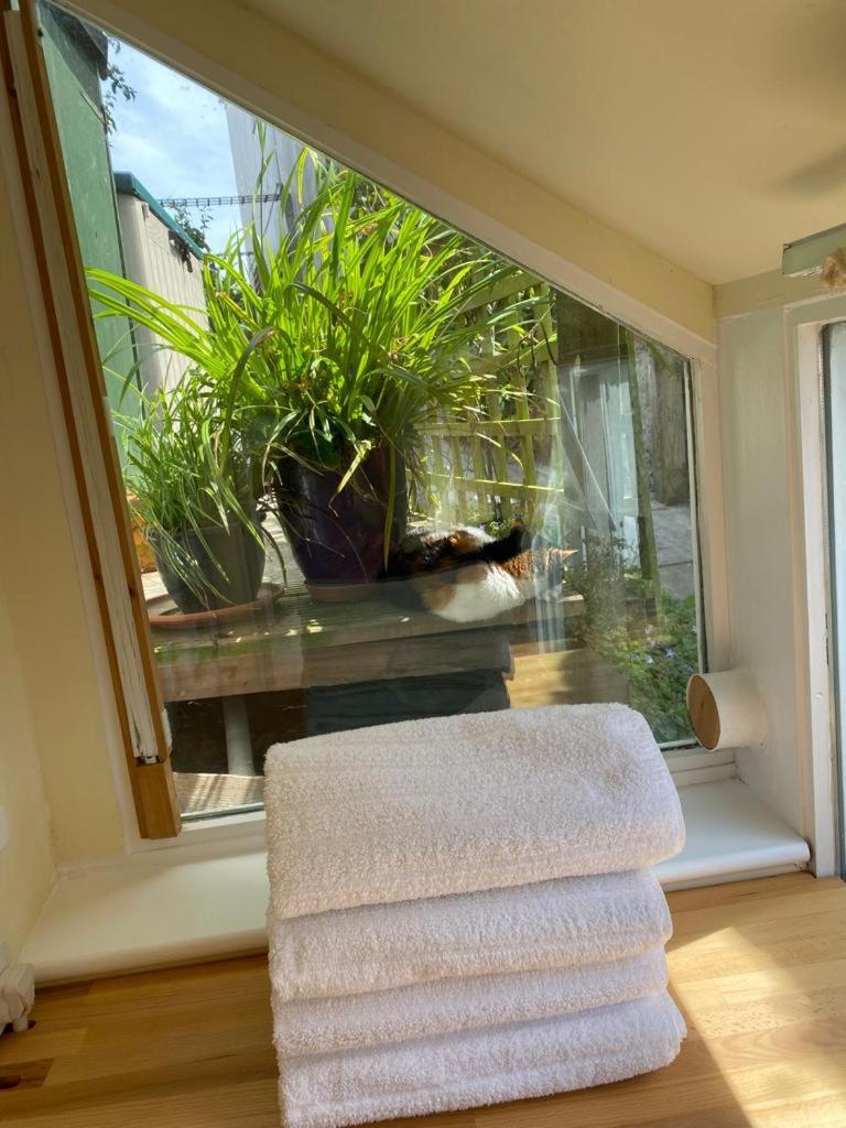 Lyme Clifftop Hideaway Lyme Regis Ngoại thất bức ảnh